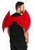 Red Satan Wings