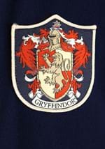 Adult Vintage Harry Potter Hogwarts Gryffindor Rob Alt 3