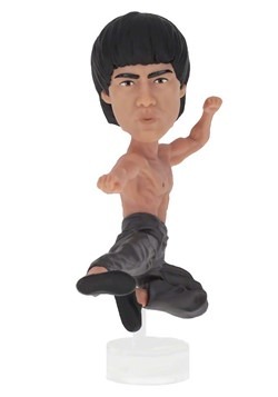 Bruce Lee Computer Sitter