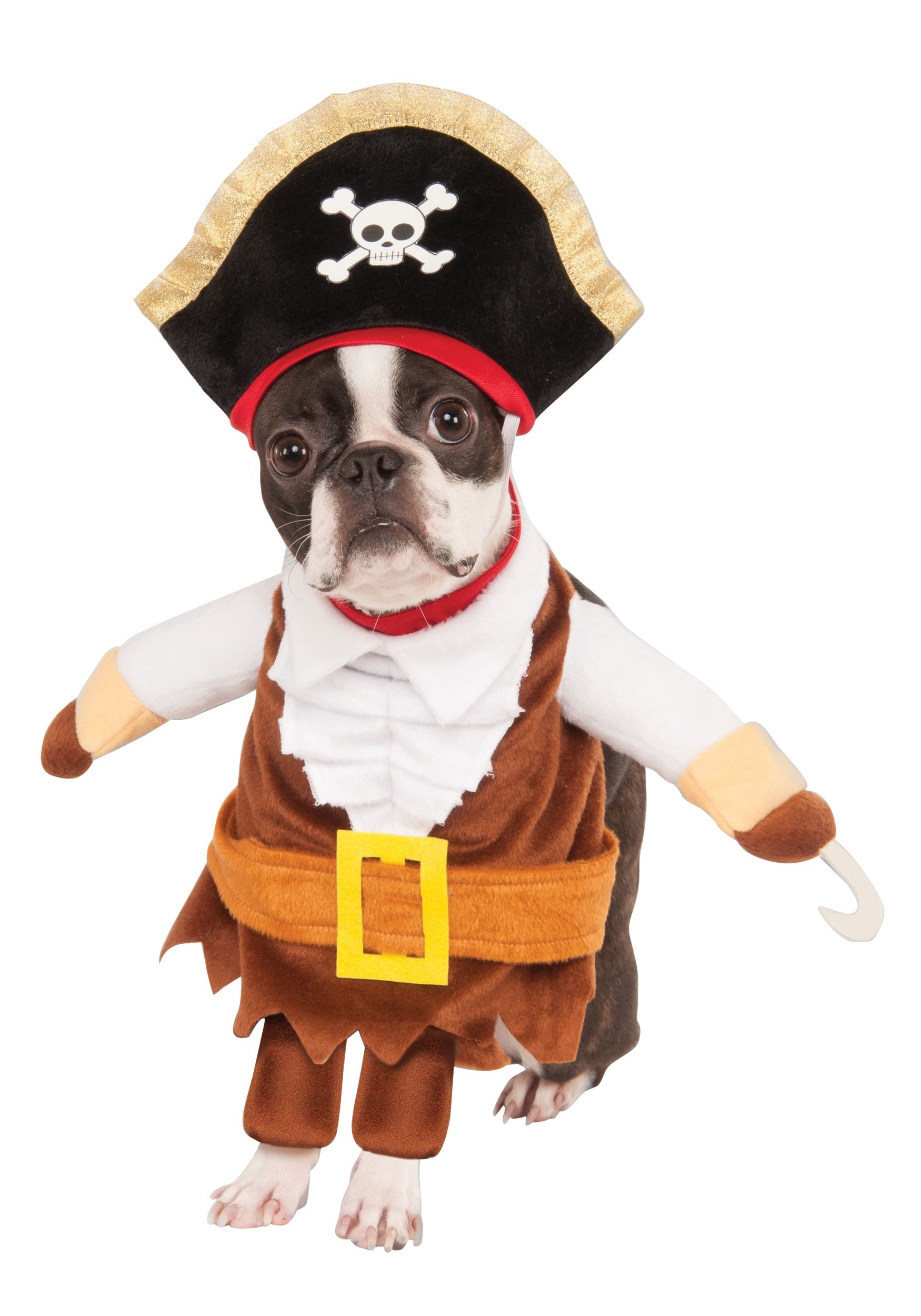 Pet Pirate Fancy Dress Costume