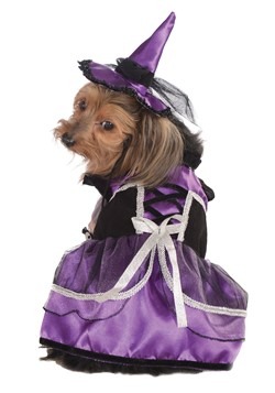 Witch Pet Costume Purple