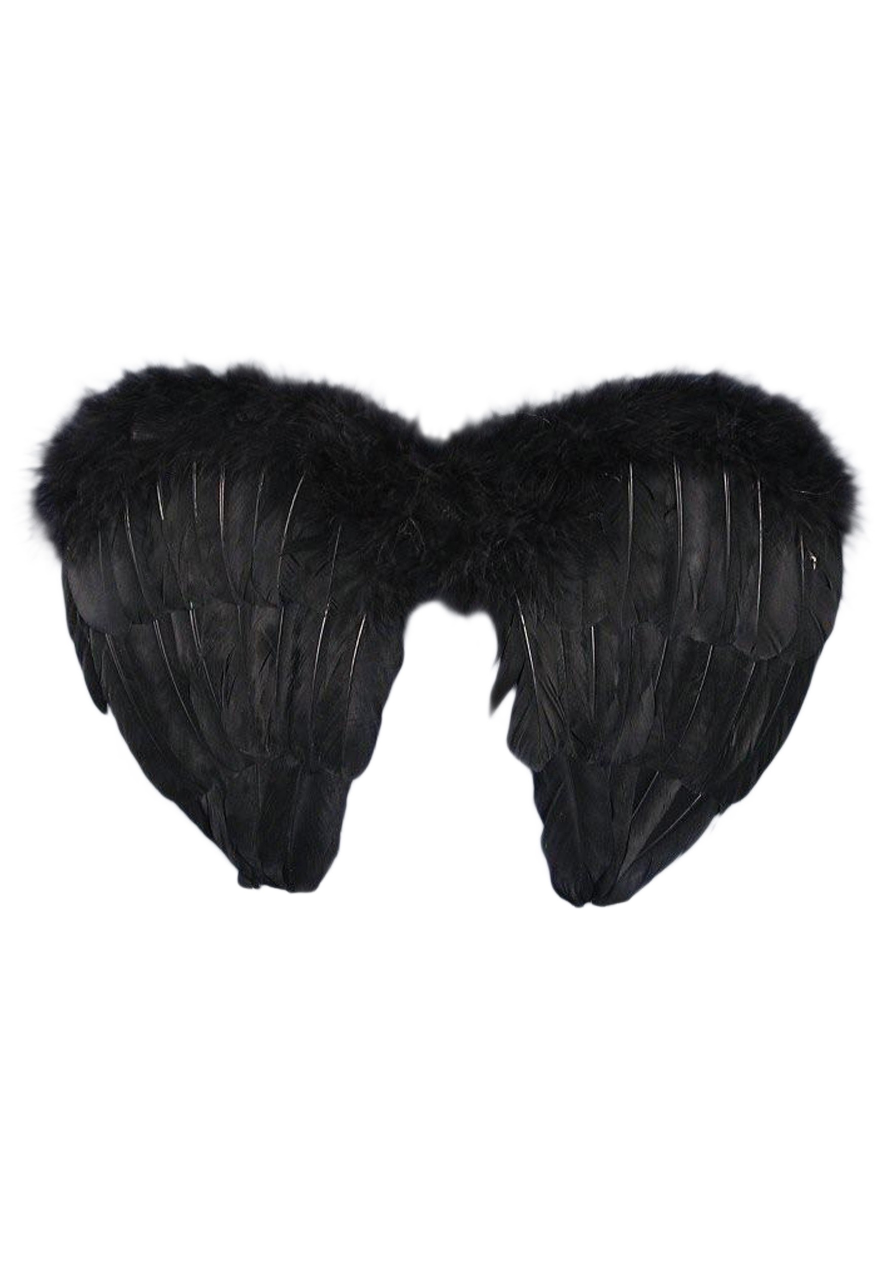 Gothic Fallen Angel Fancy Dress Costume Wings