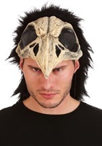 Crow Bird Helmet