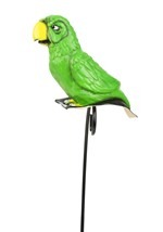 Parrot Shoulder Buddy-1