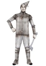 Plus Size Men's Tin Fellow Costume