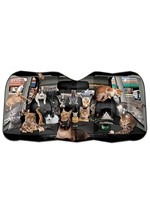 Car Full of Cats Auto Sunshade Alt 1