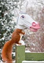 Unicorn Squirrel Feeder Alt 1