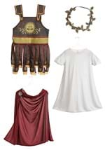 Men's Plus Size Roman Warrior Costume