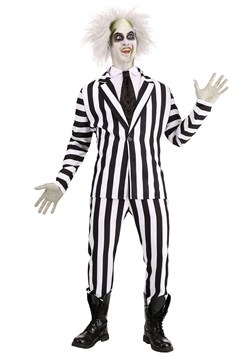 Adult Beetlejuice Costume