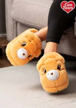 Adult Tenderheart Care Bear Slippers