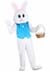 Adult Sweet Easter Bunny Costume Alt 2