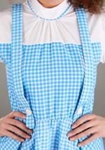 Adult's Wizard of Oz Dorothy Costume Alt 4