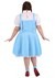 Plus Size Wizard of Oz Dorothy Costume Alt 1