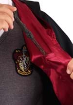 Plus Size Deluxe Harry Potter Costume