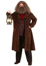 Men's Deluxe Harry Potter Hagrid Costume Back