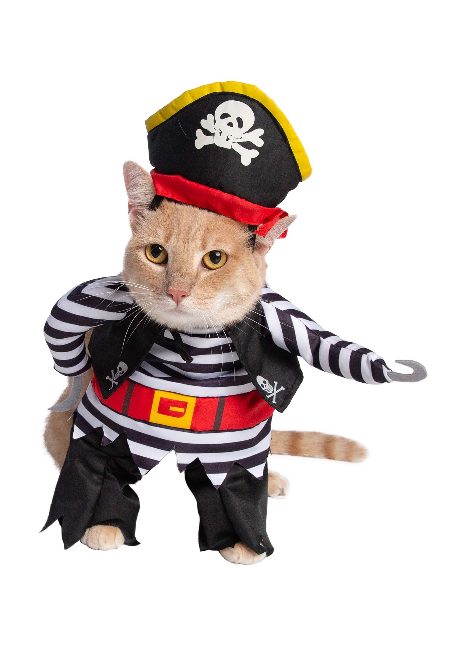 Cute Pirate Pet Fancy Dress Costume