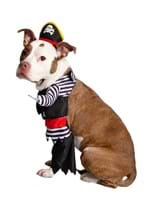 Pirate Costume For Pets Alt 2