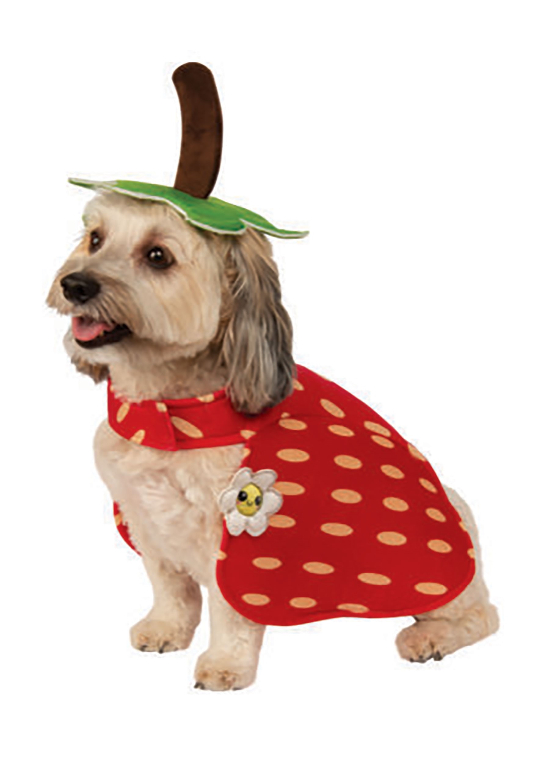 Red Strawberry Dog Fancy Dress Costume