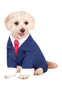 Dog Business Suit Costume