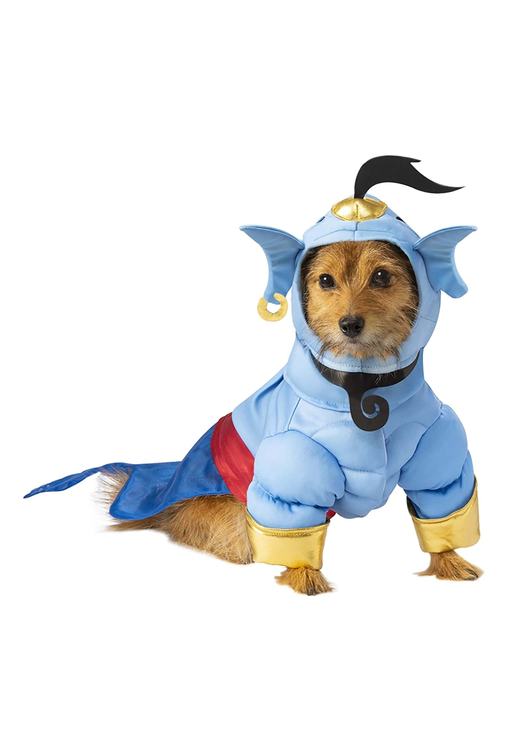 Dog Aladdin Genie Fancy Dress Costume