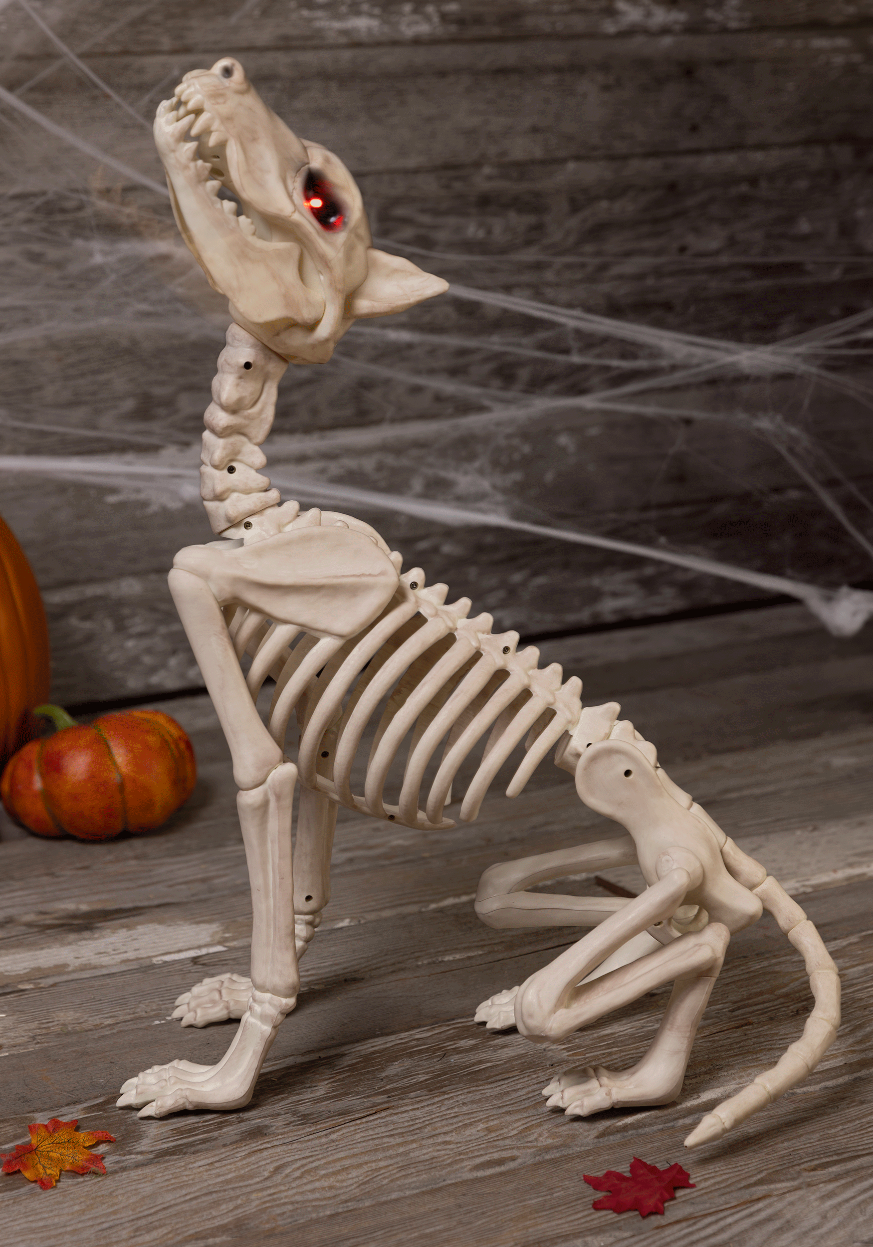 Skull - Halloween gif avatar