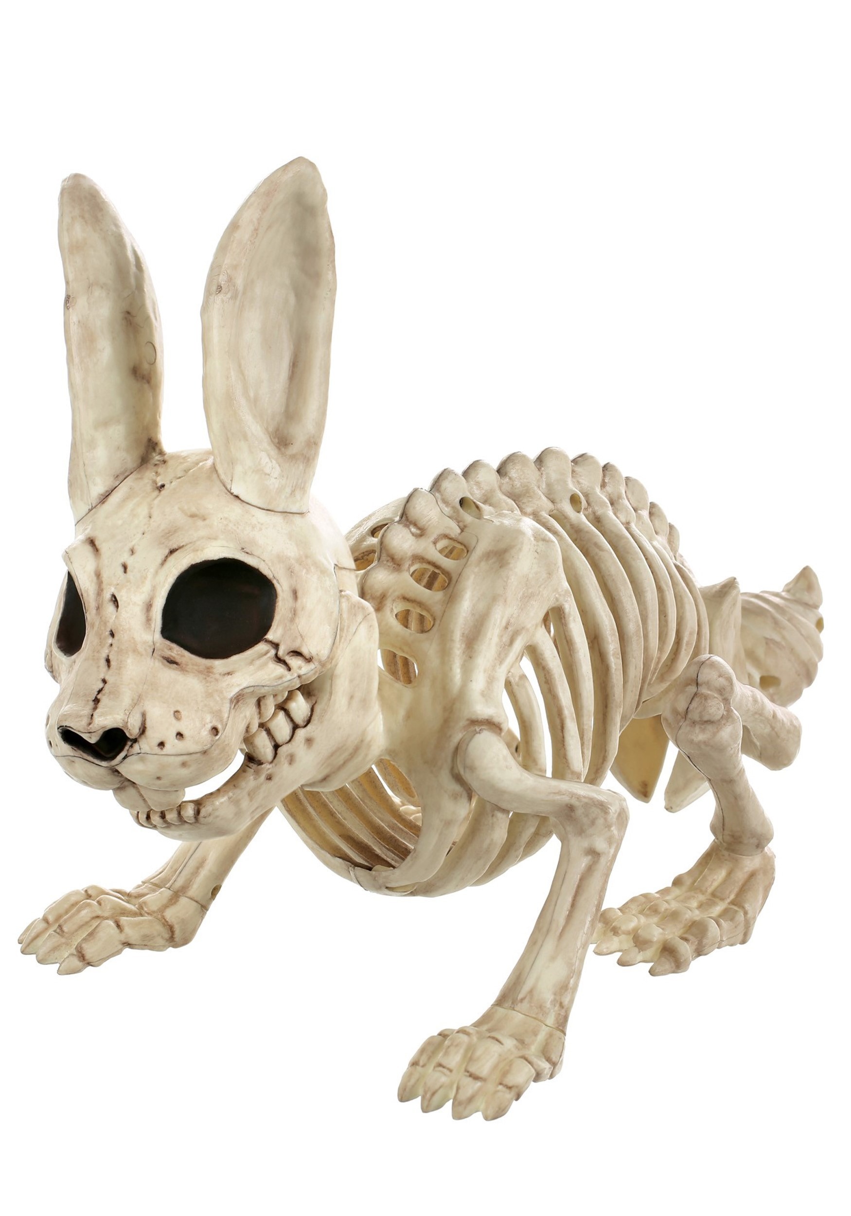 Bonez Bunny Skeleton Halloween Prop , Animal Skeletons