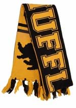 Hufflepuff Reversible Knit Scarf Alt 2