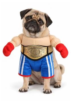 Champion Boxer Costume for Pets upd