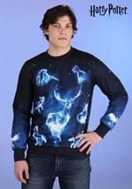 Harry Potter Patronus Adult Ugly Sweatshirt-2-1-0