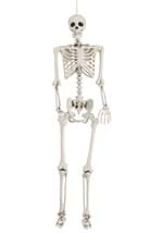 5ft Posable Skeleton