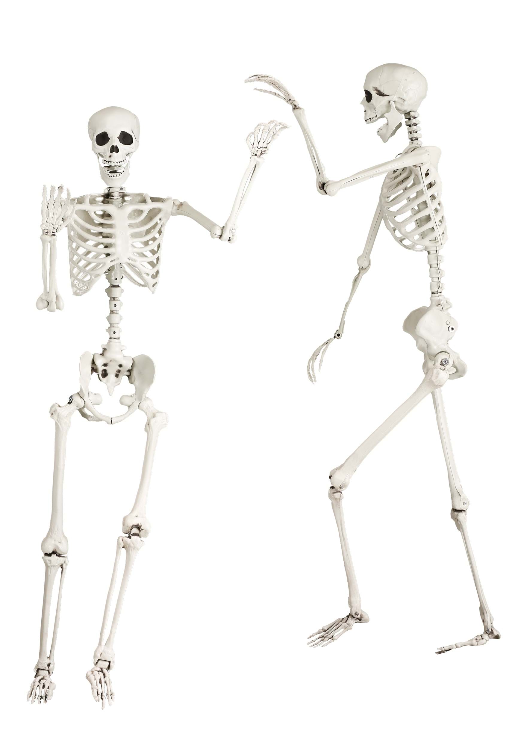 Georgie the Skeleton 5FT Posable Life Size Halloween Prop