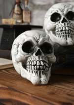 3-Pack of Large Skulls Alt 1