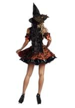 Womens Harvest Witch Costume