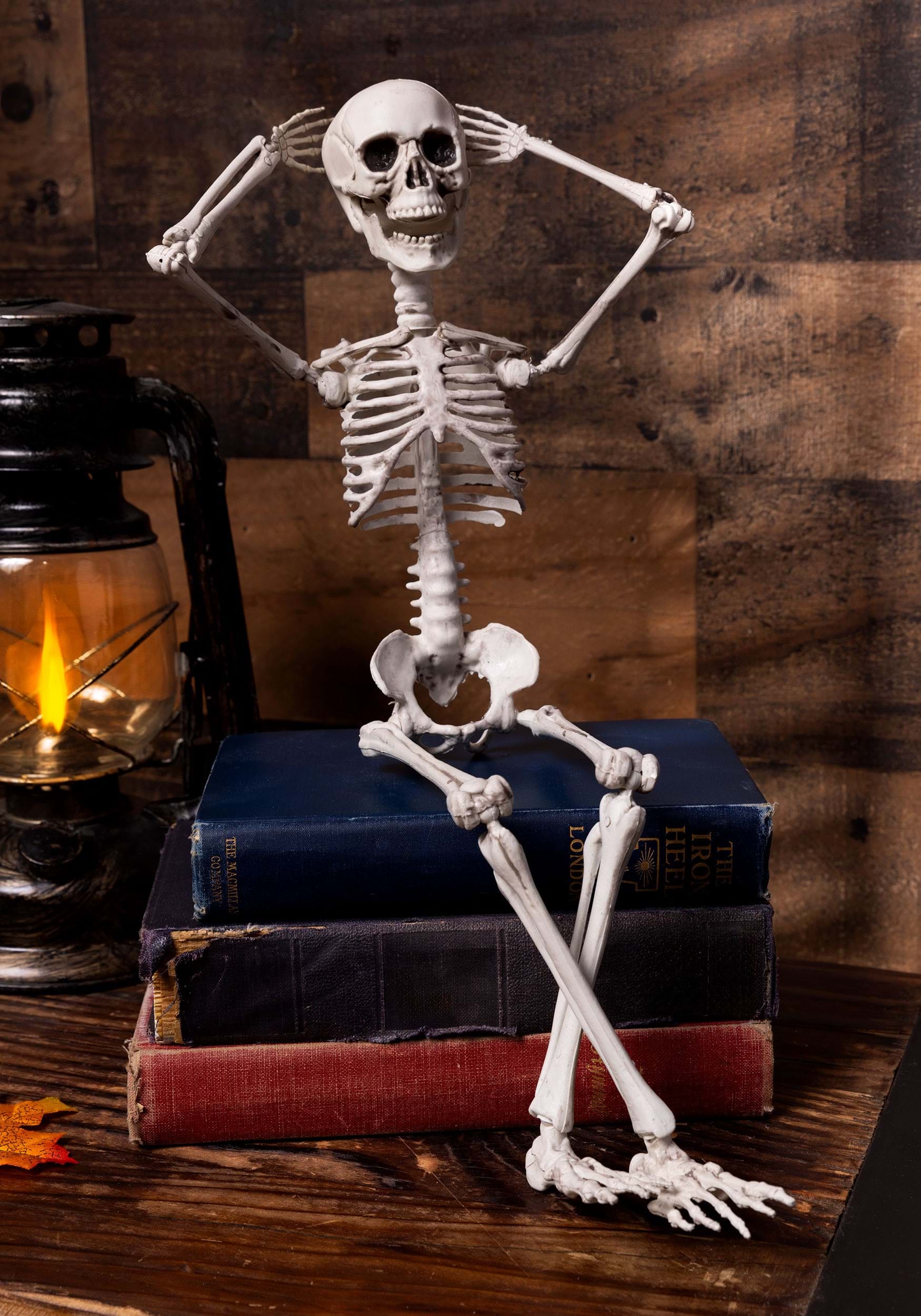 20 Inch Poseable Skeleton Decoration , Posable Skeletons