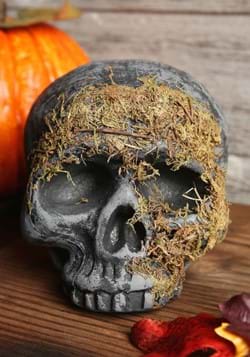 Moss Covered Skull