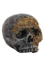 Moss Covered Skull Alt 1