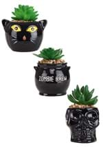 Halloween Succulent Planter Set Cauldron, Cat & Sk Alt 1