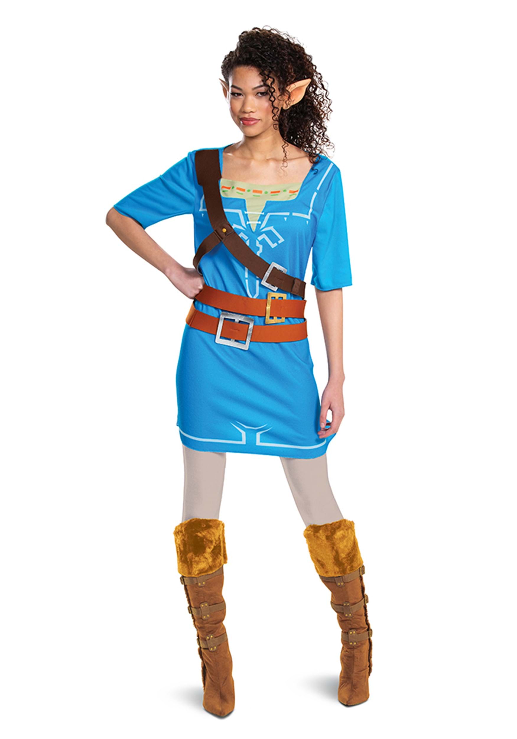 Link Breath Of The Wild Classic Adult Fancy Dress Costume