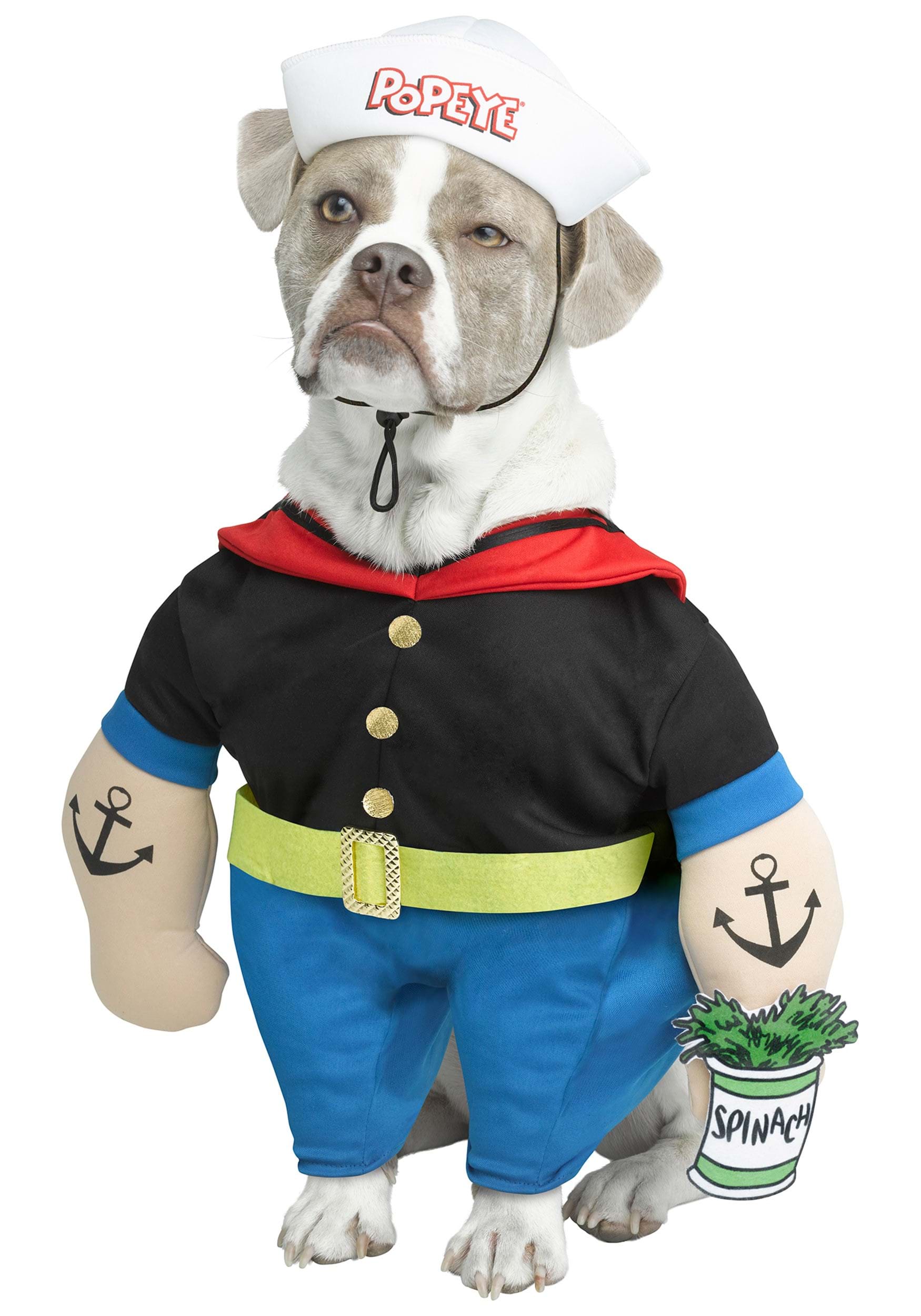 Pet Popeye Fancy Dress Costume