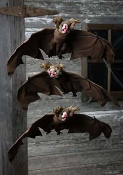 3 Pack Brown Bat
