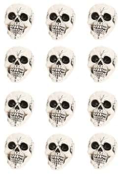Large Skull 12-pack (CY21082)