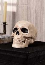 Glow in the Dark Decorative Skull