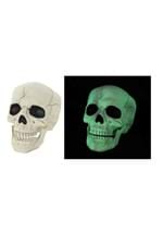 Glow in the Dark Skull Alt 2