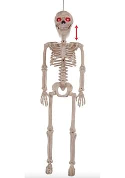 Skeleton Crazy Bones Junior