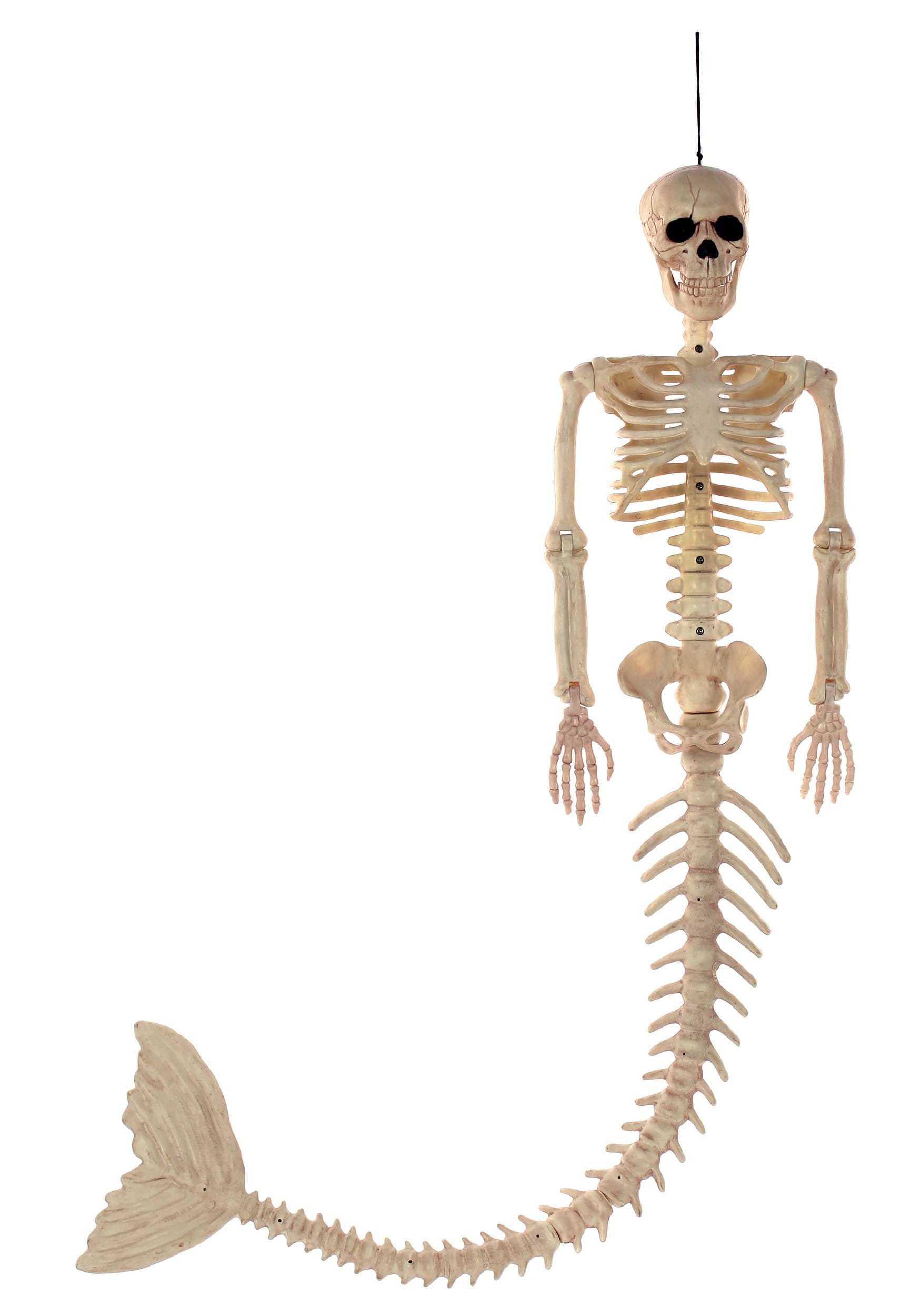 48 Inch Mermaid Skeleton Decoration | Skeleton and Skull Decorations