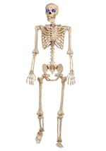 60" Light Up Skeleton Alt 2