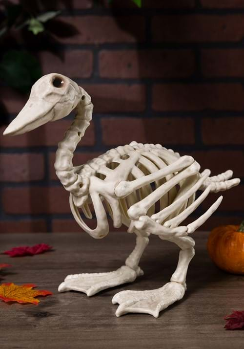 15 Duck Skeleton