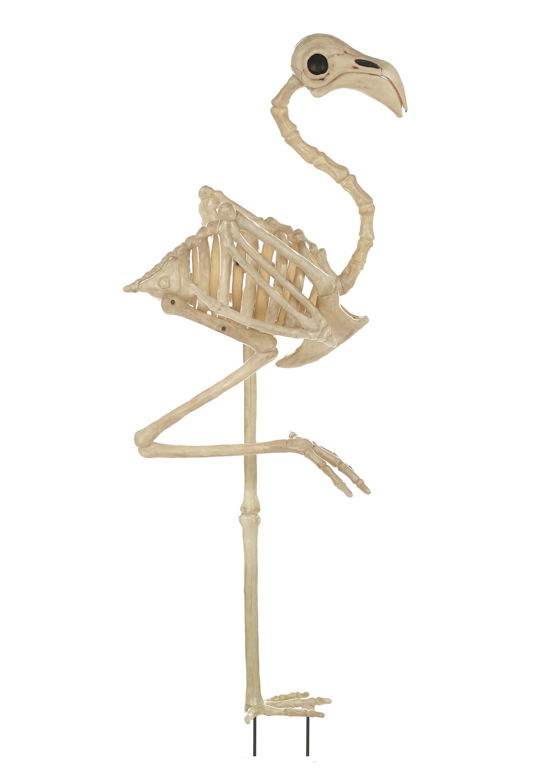 34 Inch Flamingo Skeleton , Animal Skeleton Decoration