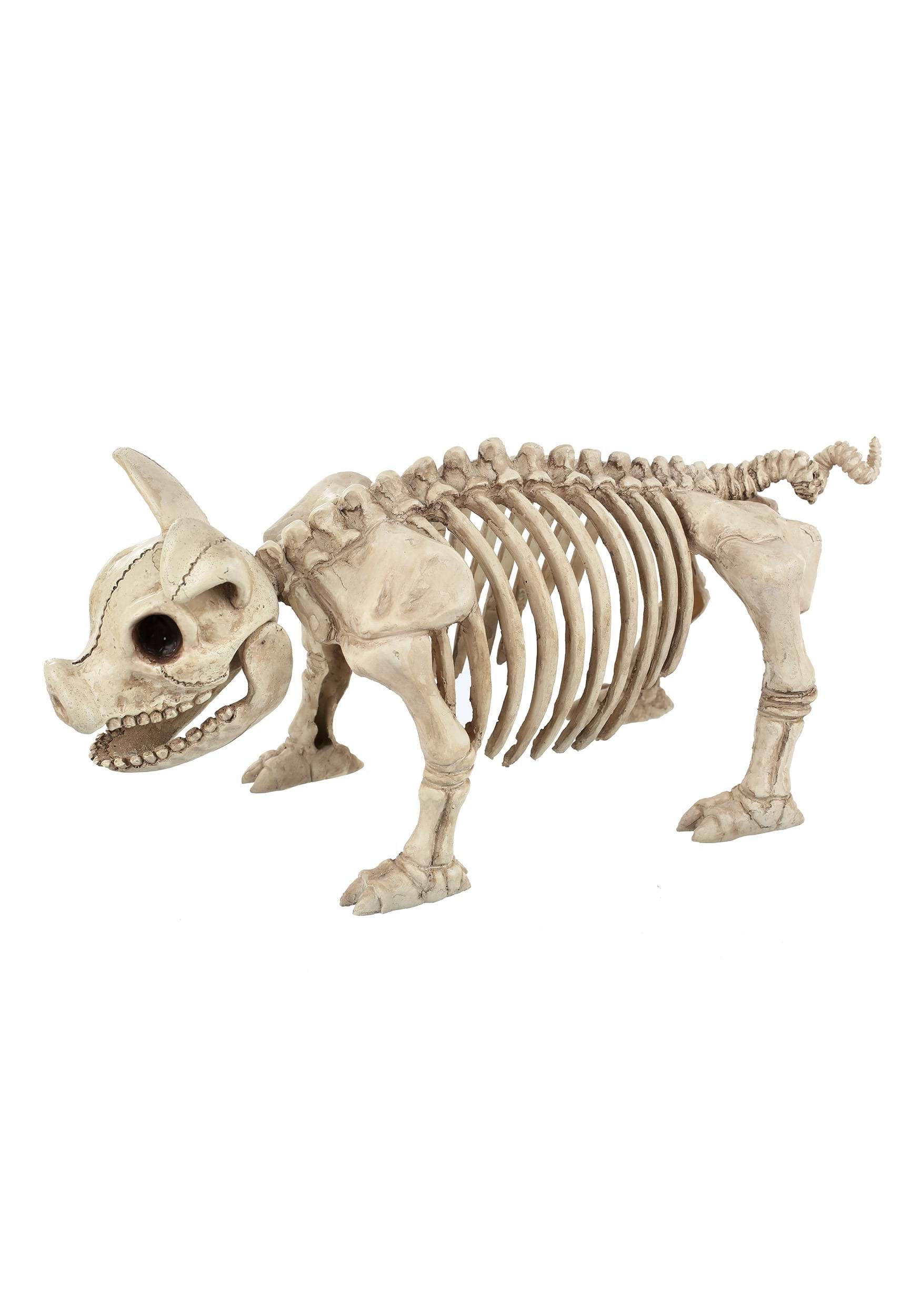 14.75 Inch Pig Skeleton , Animal Skeleton Decorations