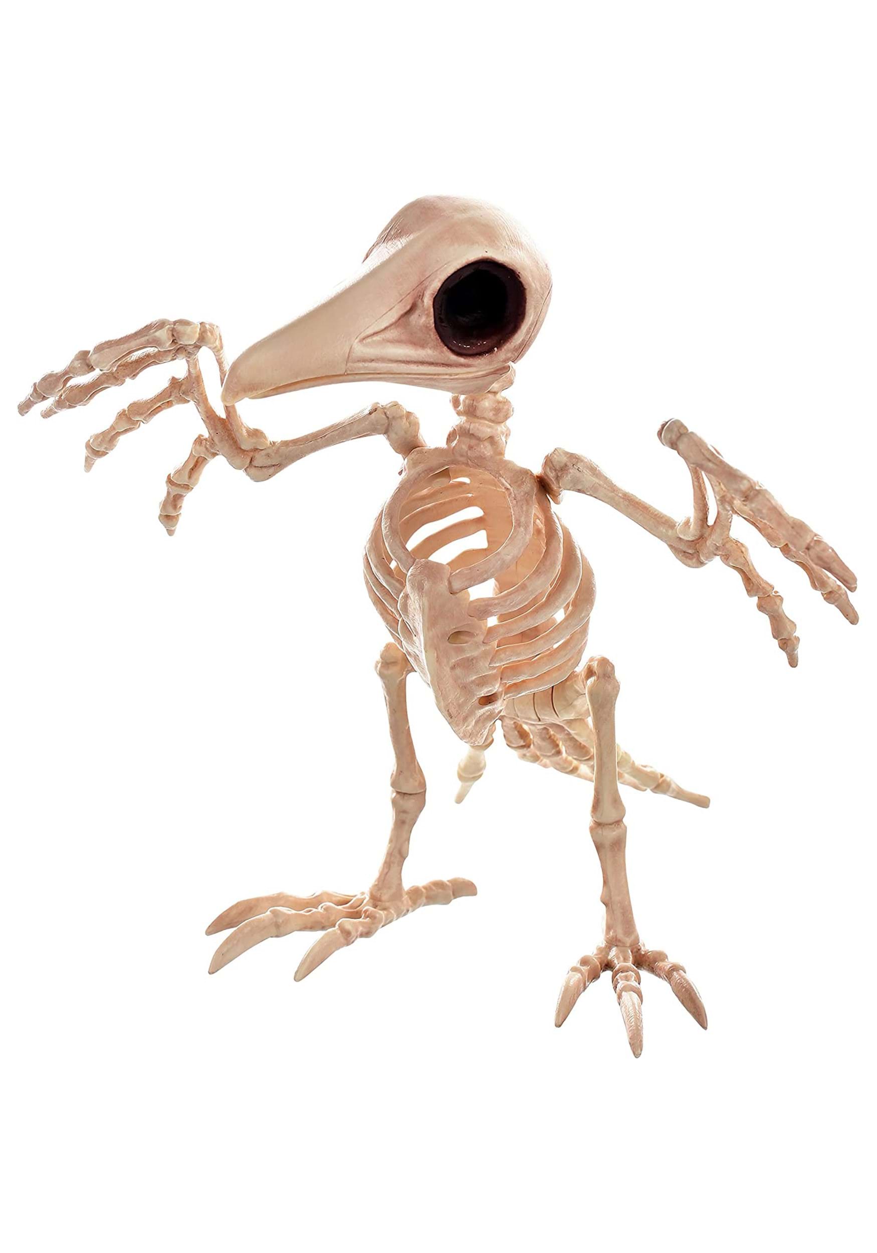 10.5" Creepy Skeleton Raven Halloween Decoration | Animal Skeletons